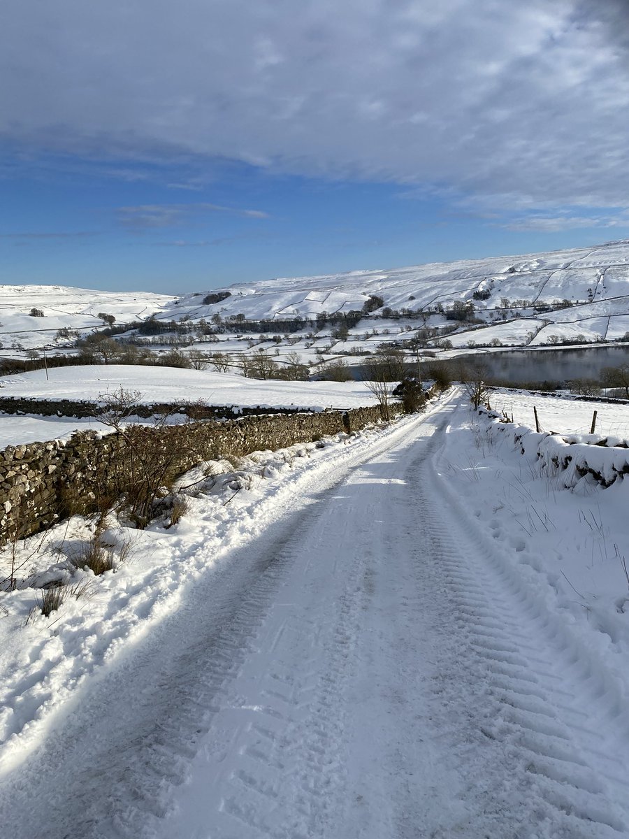 HighBleanBandB's tweet image. Nice sunny afternoon before the big melt so we got some off lead training in. 

We were pleased than she showed no interest in sheep that were on the road. A positive for us.