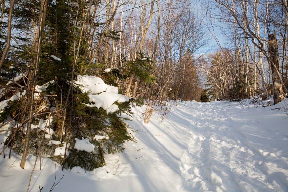 We're living in a winter wonderland ❄️ ✨

Snowfall calls for exploring Cavendish! View our trail maps, pack up your snowshoes, and head outside this weekend: cavendishbeachpei.com/trail-maps/