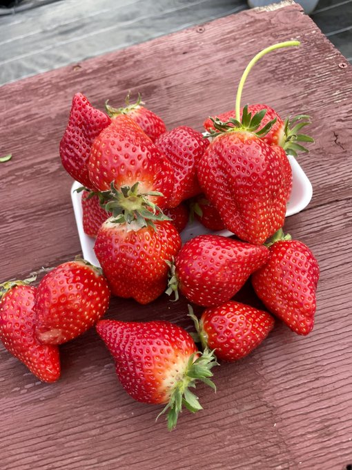 Twitterのコスプレ画像30