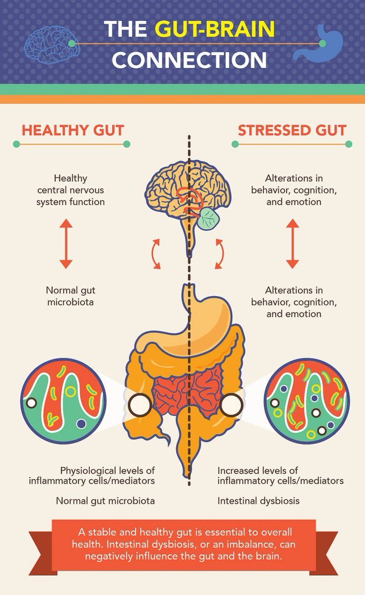 1. GUT HEALTH

Your gut health impacts your hormonal balance, metabolism, how you process calories,...