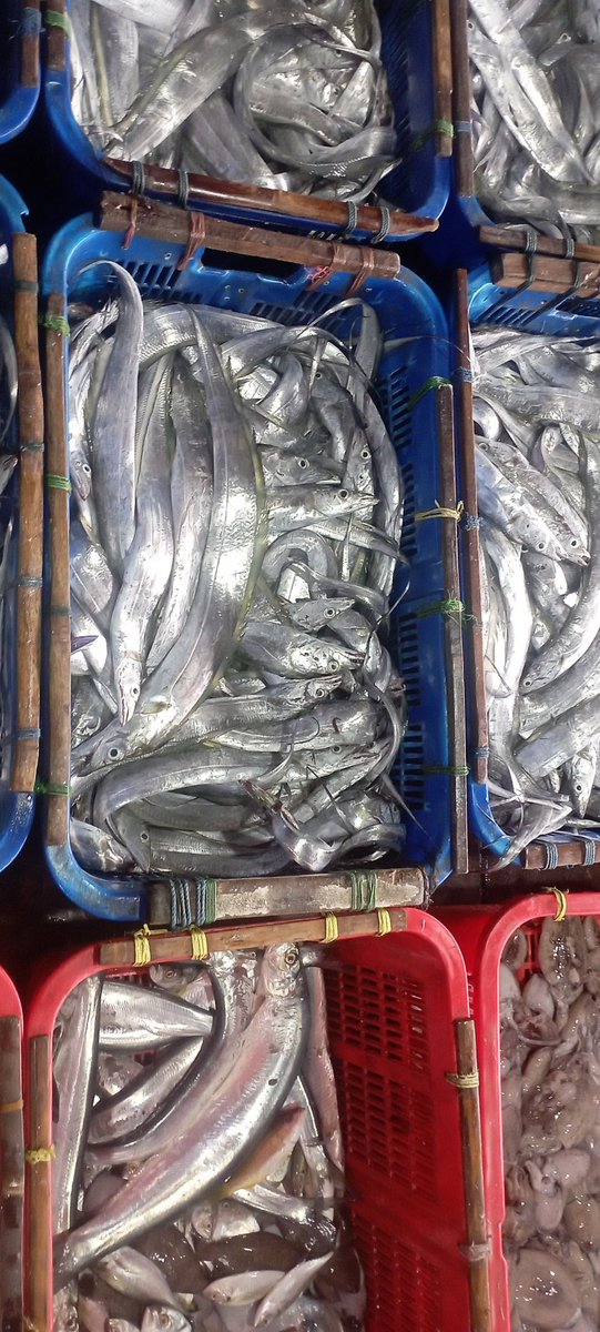 Darius Maloring tweet media