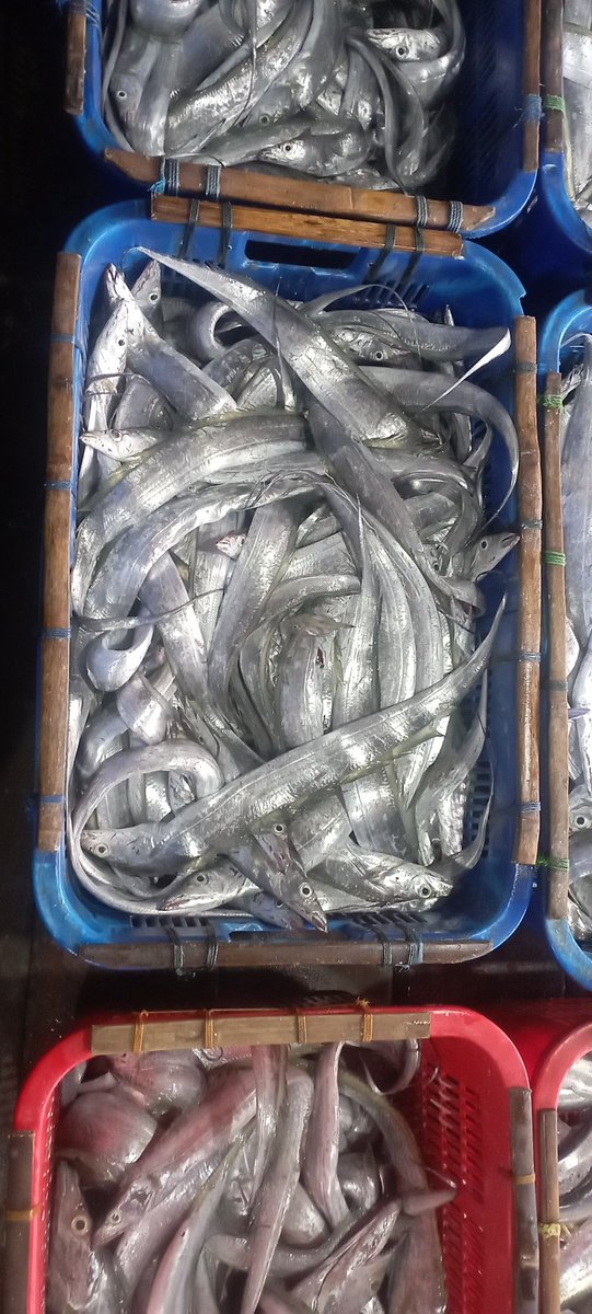 Darius Maloring tweet media