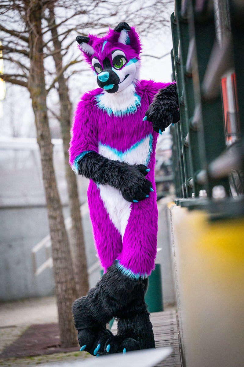 This is purple dog territory!
Proceed at your own risk 😈😘

📸 <a href="/Fusselgenerator/">Sereas</a>