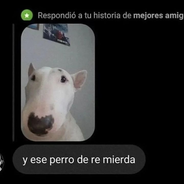 Alejo (@bjs_alejo2) on Twitter photo 