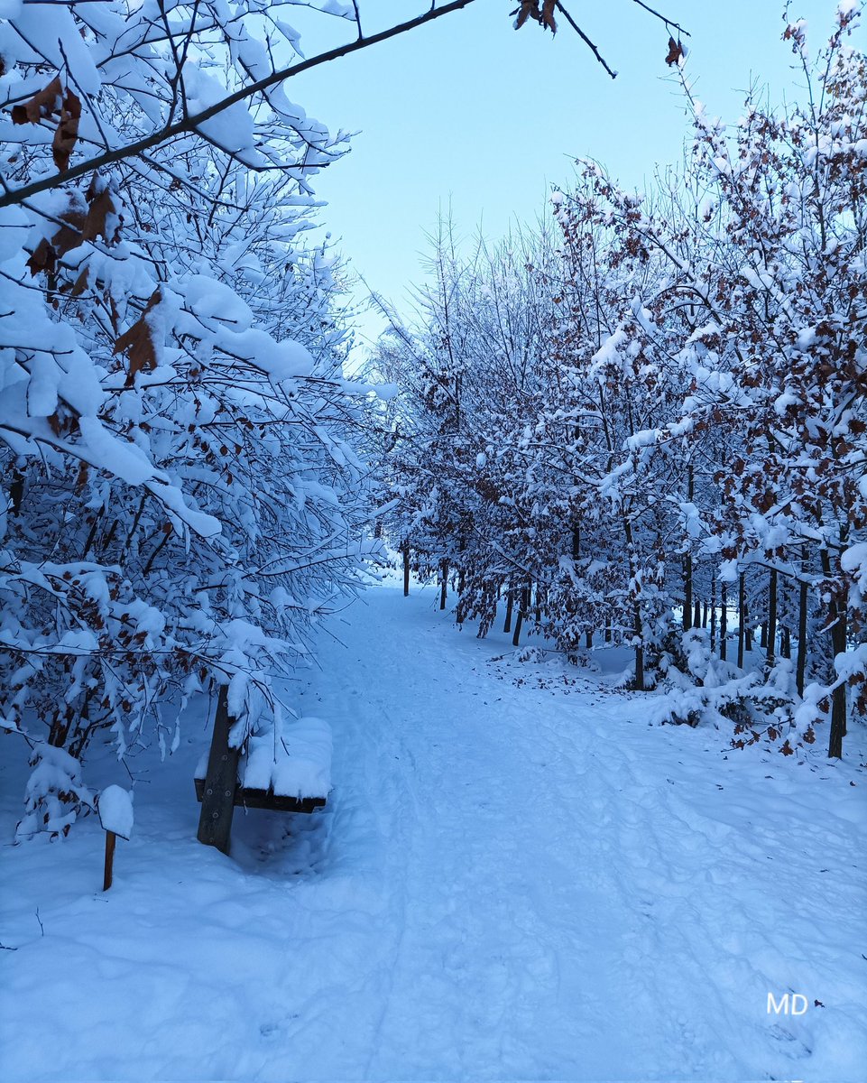 Martina Dvorská (@martinadvorsk2) on Twitter photo 