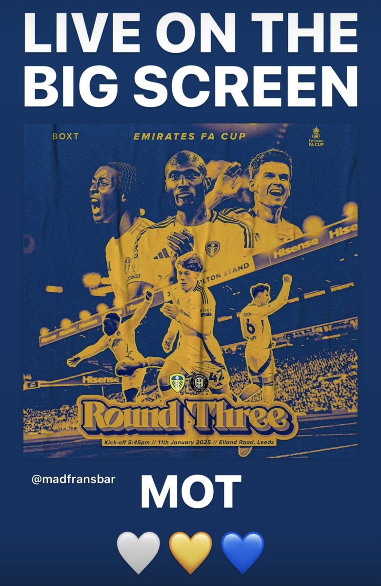 @madfrans tweet media