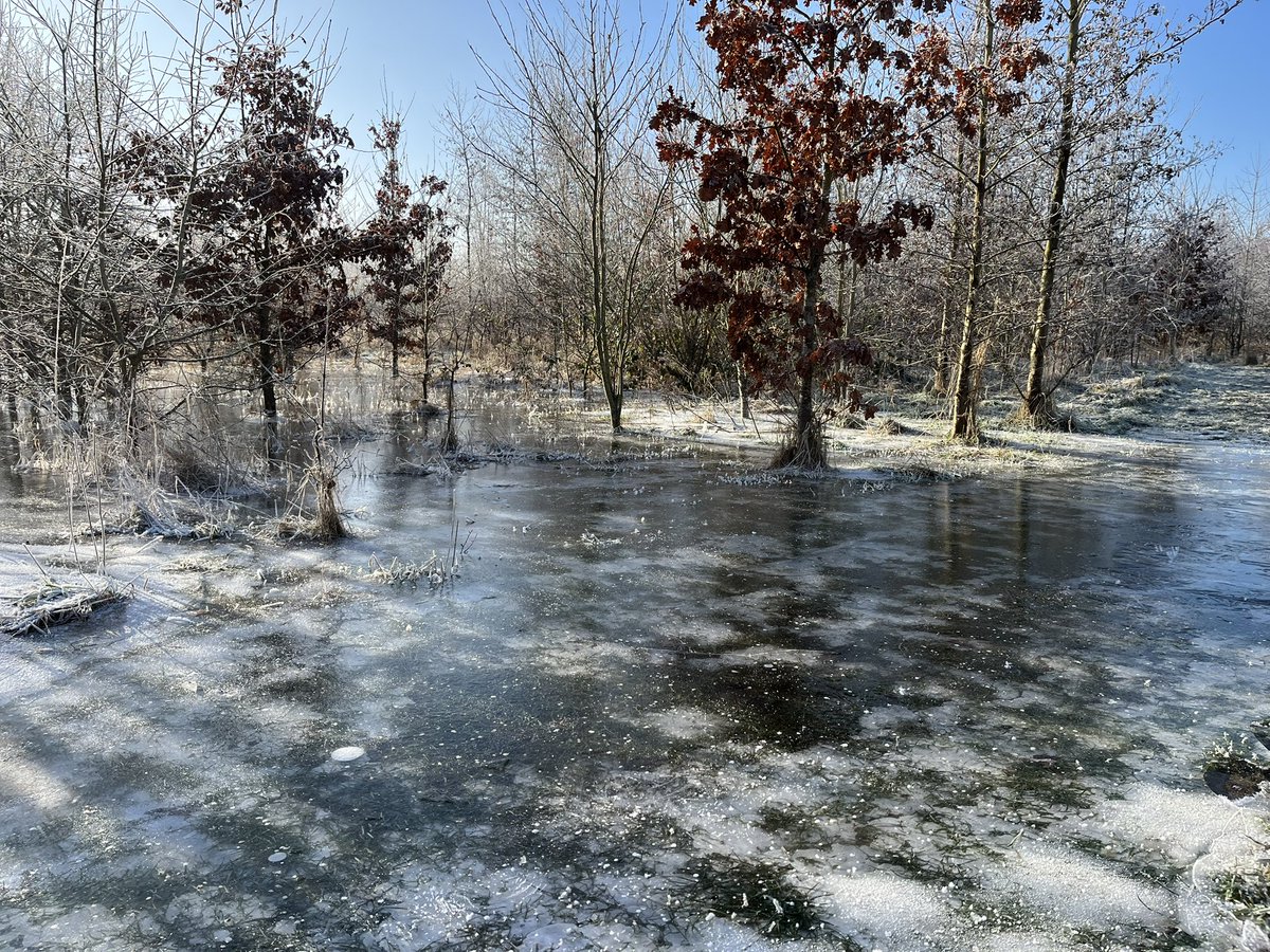 ChristopherWormanMBE tweet media