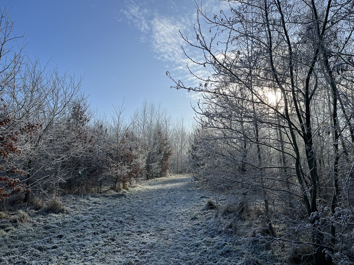 ChristopherWormanMBE tweet media