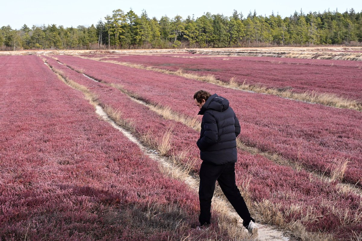 Yesterday, the NJ Pinelands Commission led a tour of the Pinelands for representatives from the United Nations Educational, Scientific and Cultural Organization (UNESCO), including a delegation from Paris and New York and Swiss chef and plant-based food advocate Daniel Humm.