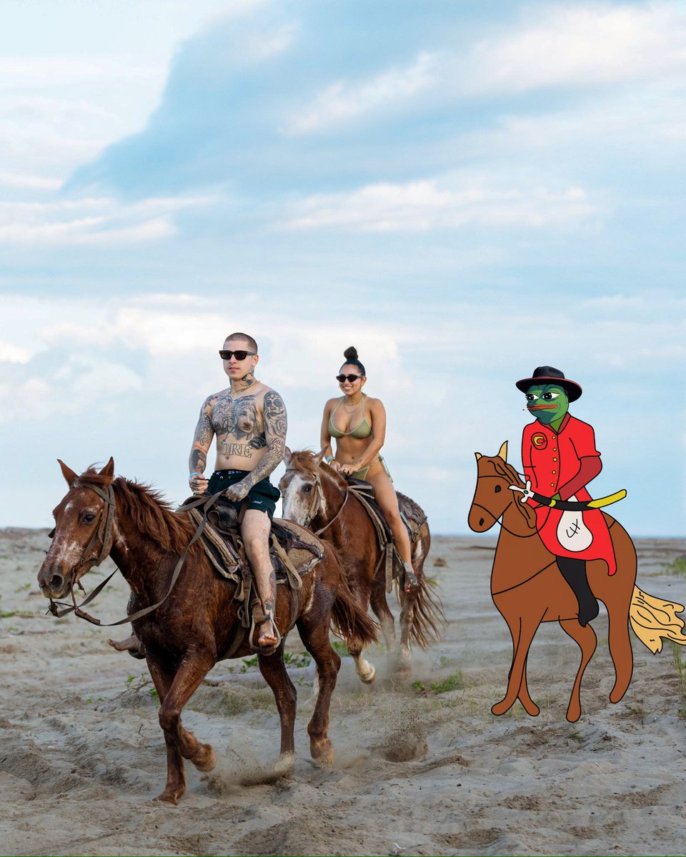 Peperium.algo tweet media