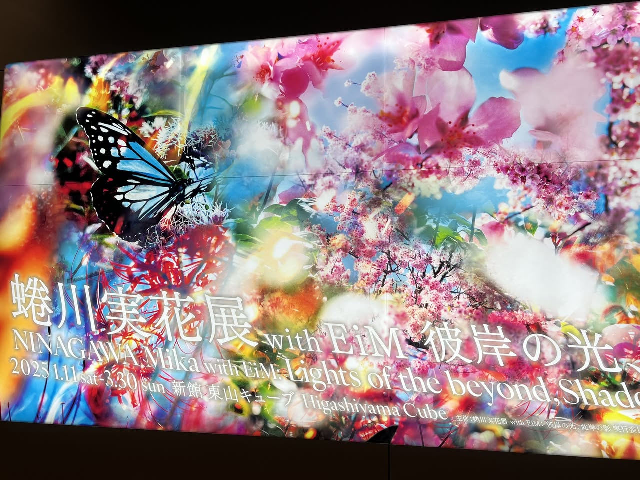 🎨】蜷川実花展｜ぐら