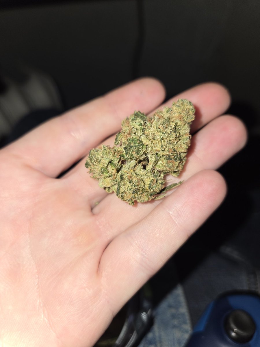 VerumaWay448's tweet image. Some OMG from Good Green here in Illinois. Smells like gator pussy with some mint, does what it needs to. #CannabisCommunity #Canna #memberville