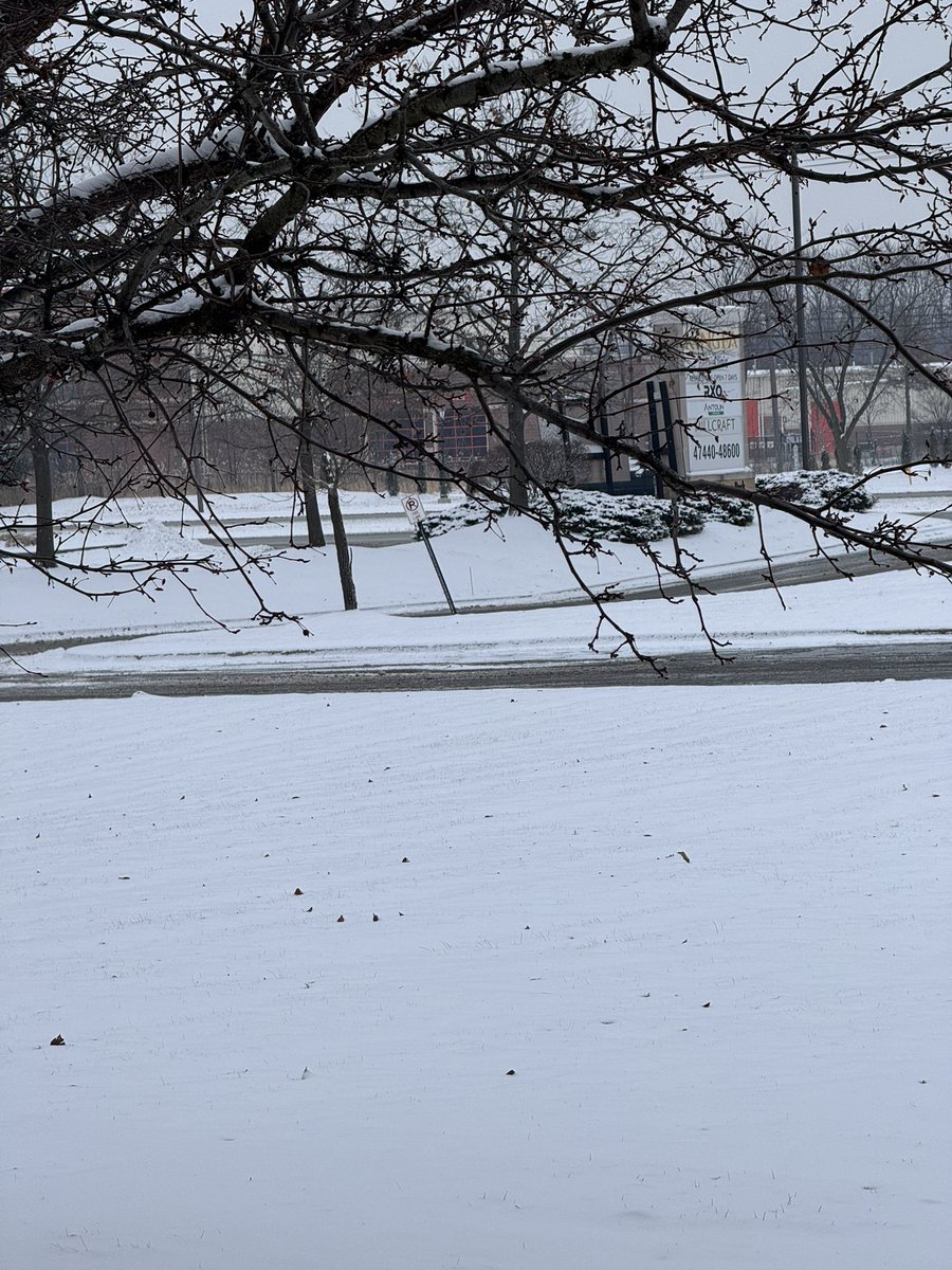 Fujisan765's tweet photo. Winter is back again. After two weeks of temperatures hovering around -10 Celsius, we finally received some light snowfall in Canton #miwx #US12 #snow #winter #michigan https://t.co/vIiZrwIecl