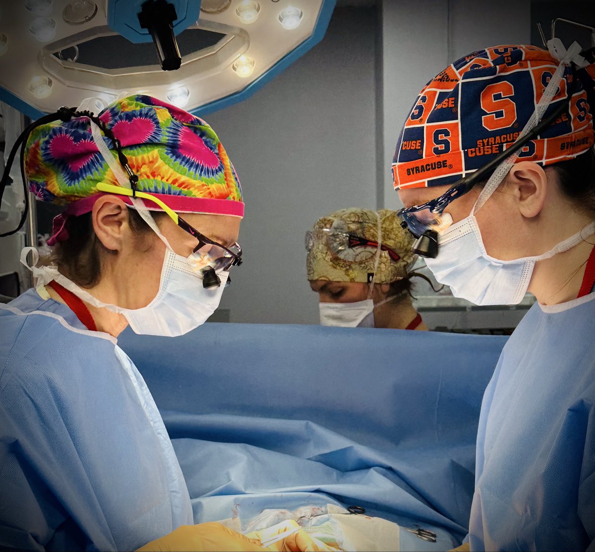 Candace Granberg, MD (@candacegranberg) on Twitter photo This is the most prestigious award conferred by the <a href="/MayoClinic/">Mayo Clinic</a> School of Graduate Medical Education. I am so grateful we had the opportunity to train you at <a href="/MayoUrology/">Mayo Clinic Urology</a>, and are incredibly blessed you are joining the Mayo family in AZ.
So well-deserved, <a href="/BlFindlay/">Bridget Lang Findlay, MD</a>! 💪👏
#MedEd This is the most prestigious award conferred by the <a href="/MayoClinic/">Mayo Clinic</a> School of Graduate Medical Education. I am so grateful we had the opportunity to train you at <a href="/MayoUrology/">Mayo Clinic Urology</a>, and are incredibly blessed you are joining the Mayo family in AZ.
So well-deserved, <a href="/BlFindlay/">Bridget Lang Findlay, MD</a>! 💪👏
#MedEd