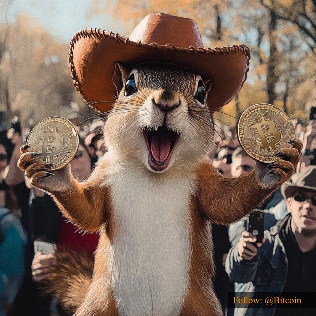 MarcellxMarcell's tweet image. $PNUT family come join us and @binance in Bangkok!  

We have a booth, merch and a bunch of fun activities 🥜🐿️

January 18-19!