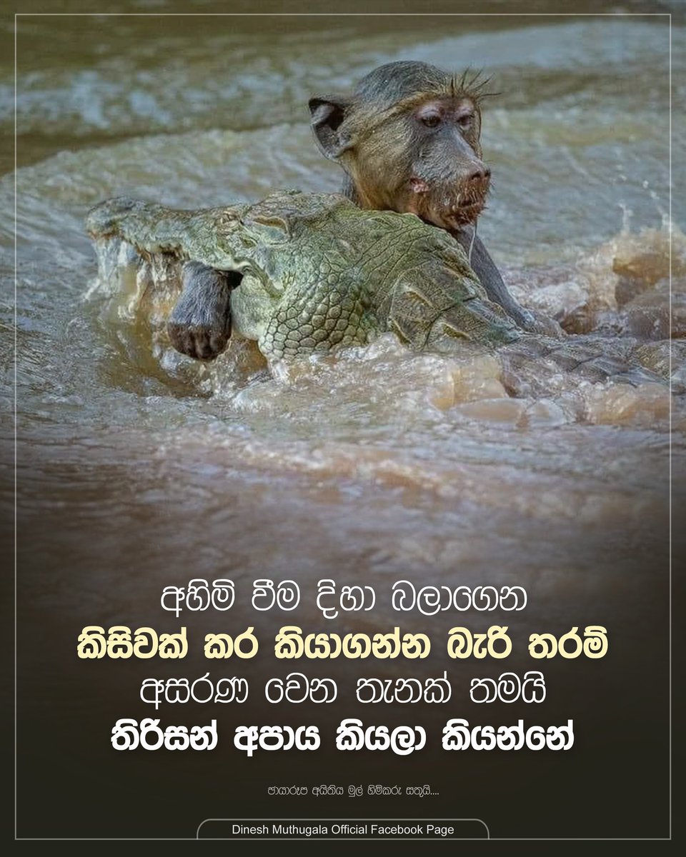 තිරිසන් අපායෙ විතරක් නෙවෙයි.. මනුස්ස භවයකත් කර්මය ඉදිරියේ අපි සැවොම මේ විදියට අසරණ වෙනවා.