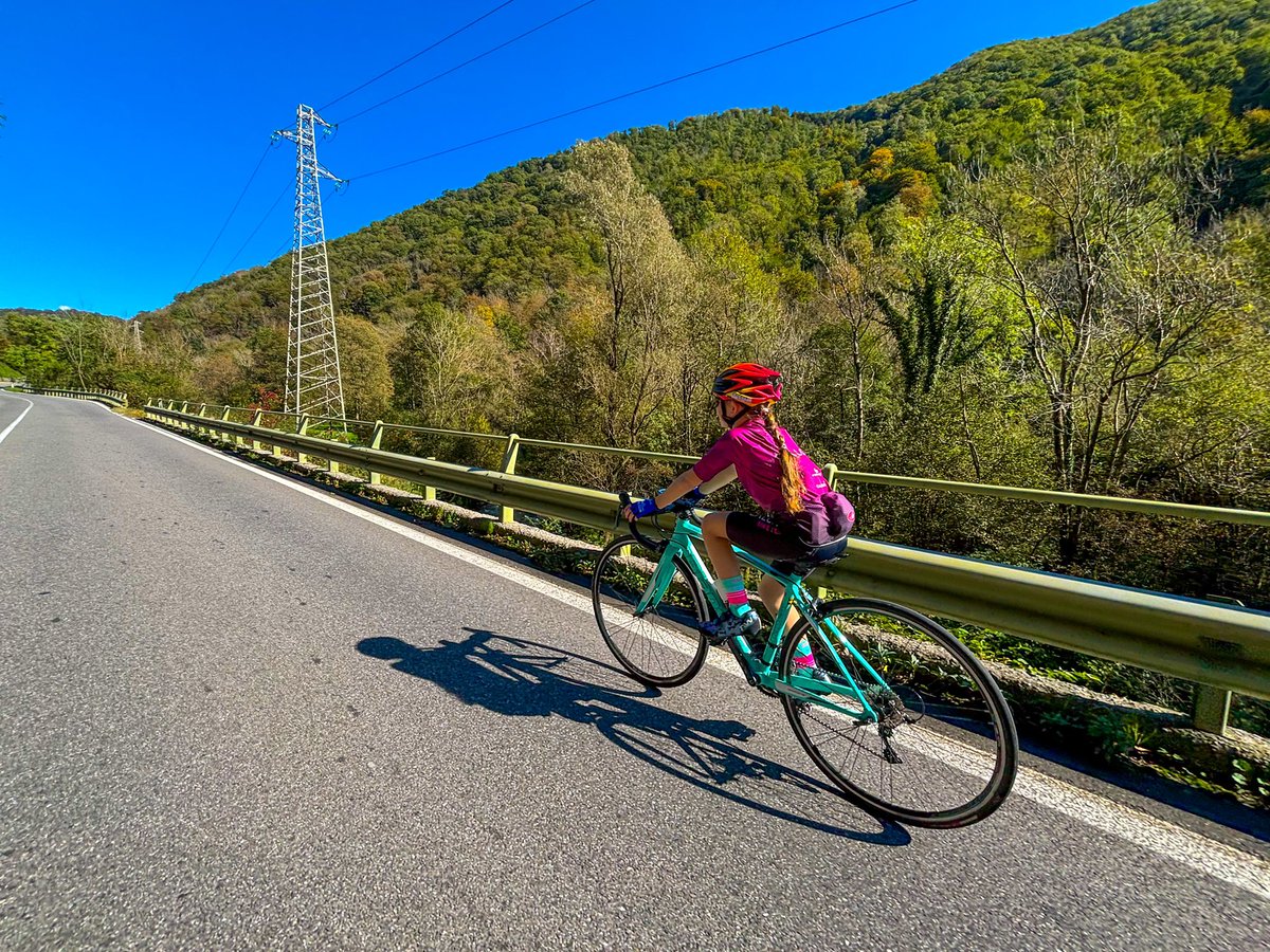 ModernaKmetica tweet media