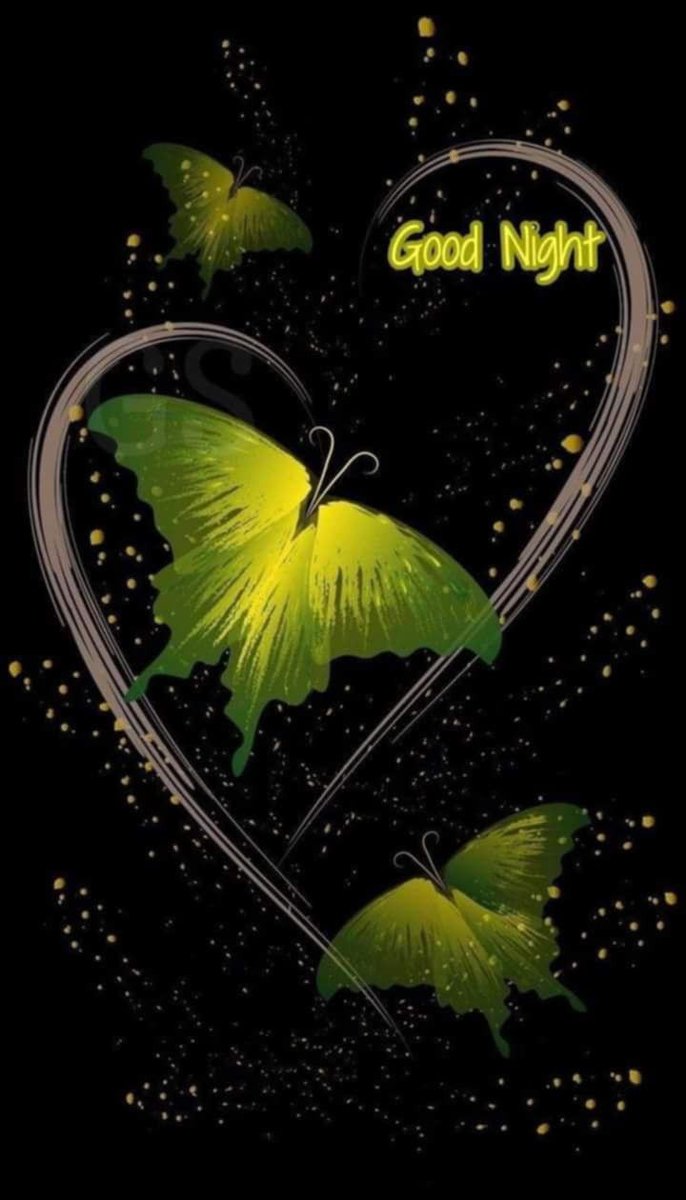 good night 
💤💤💤💤💤
