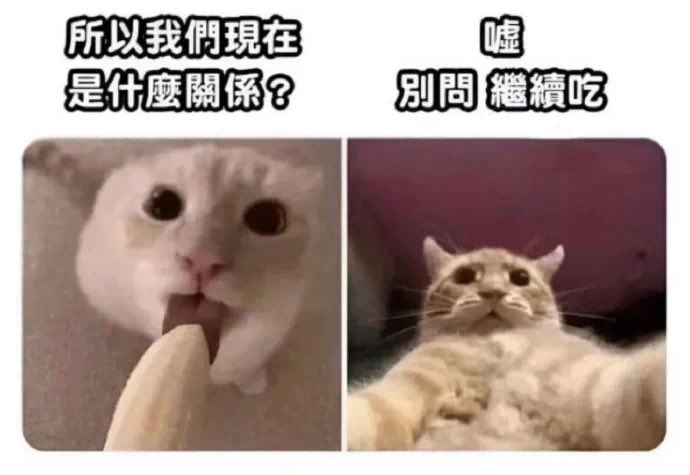 cgotnoball's tweet photo. @ynmz96 @Declannn2 乐死我了 https://t.co/wbIX5IXvvv