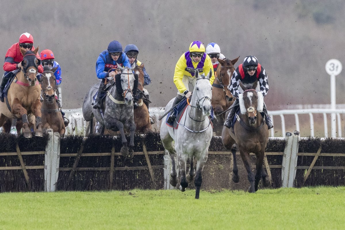 FfosLasRC's tweet photo. RACE 4 RESULT - The @DragonBetWales Still Best Odds Guaranteed Handicap Hurdle (Div I)

🥇 Dangerous Touch 
🥈 The Blueberry One 
🥉 Korus

Jockey: @Sean_Bowen_ 
Trainer: @O_J_murphy91 
Owners: Matt Fitzgerald &amp; The Songsters https://t.co/6UFjONOydR