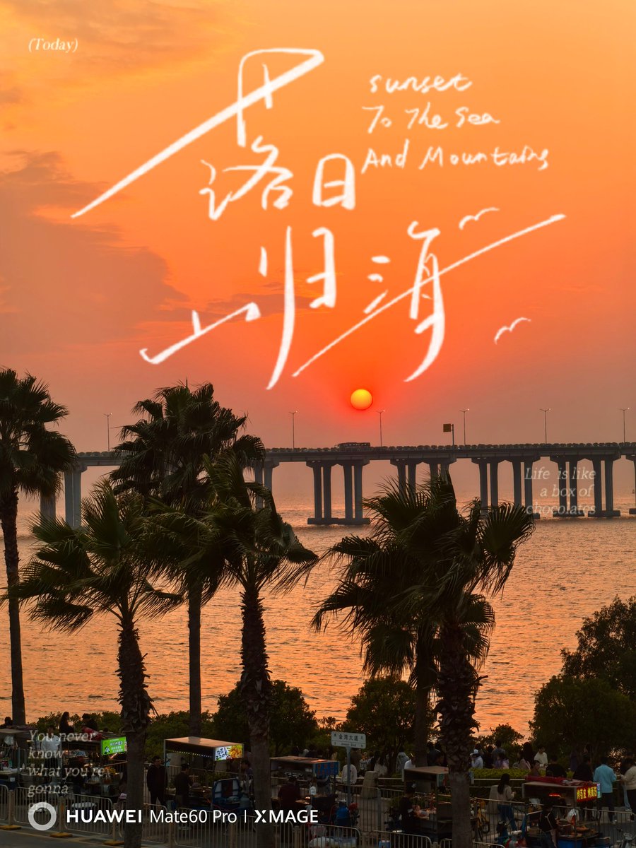 东南未归人 tweet media