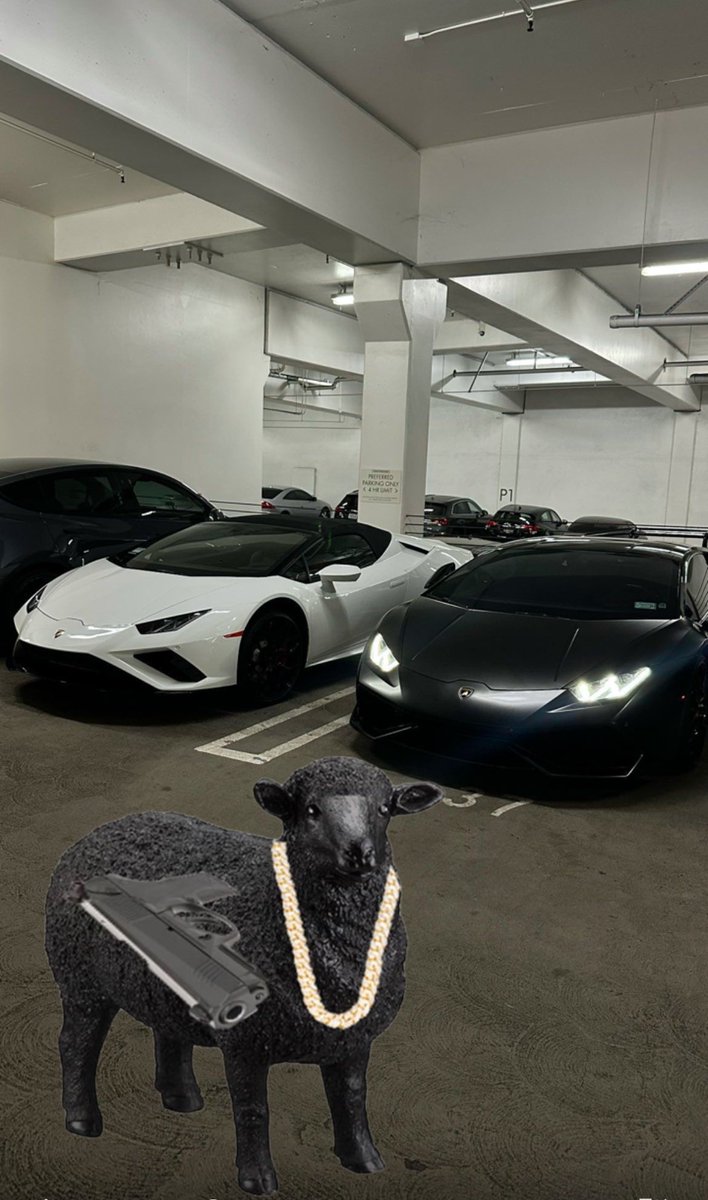Redaegy211757's tweet photo. hi $HIGGAS 
yea it’s my future https://t.co/4LBvhDGQfD