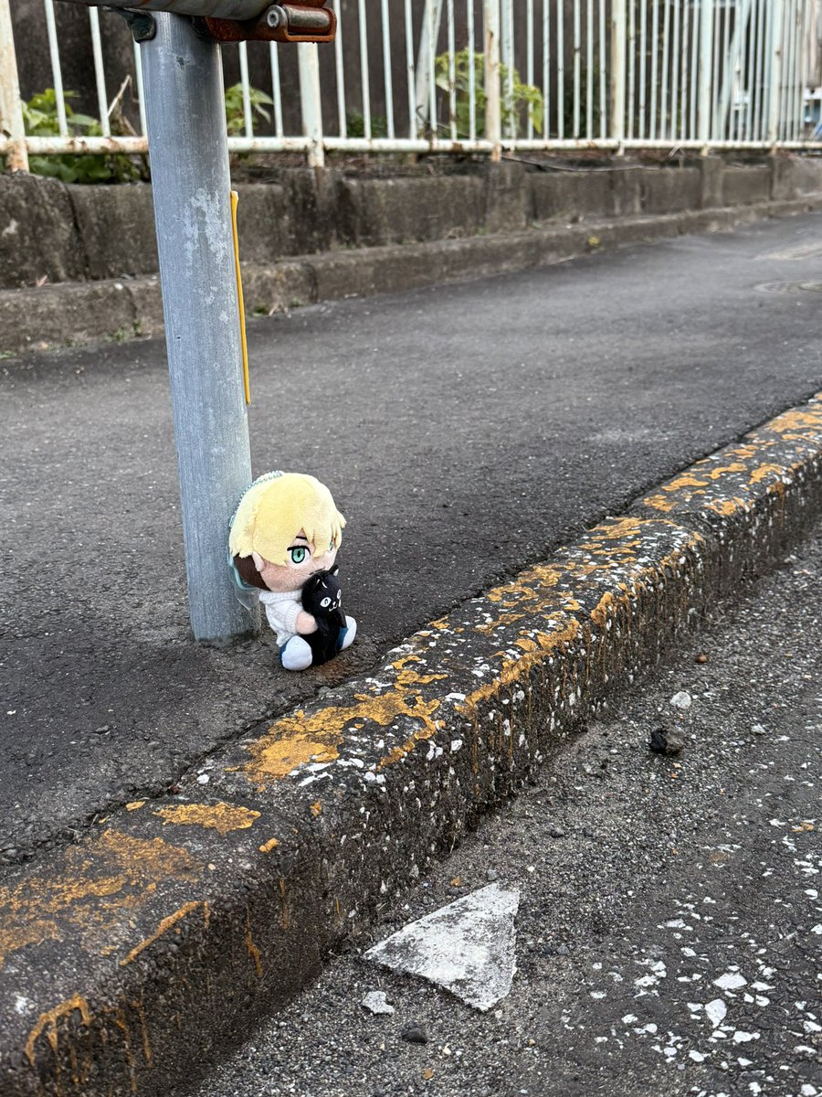 やまも❄️ tweet media