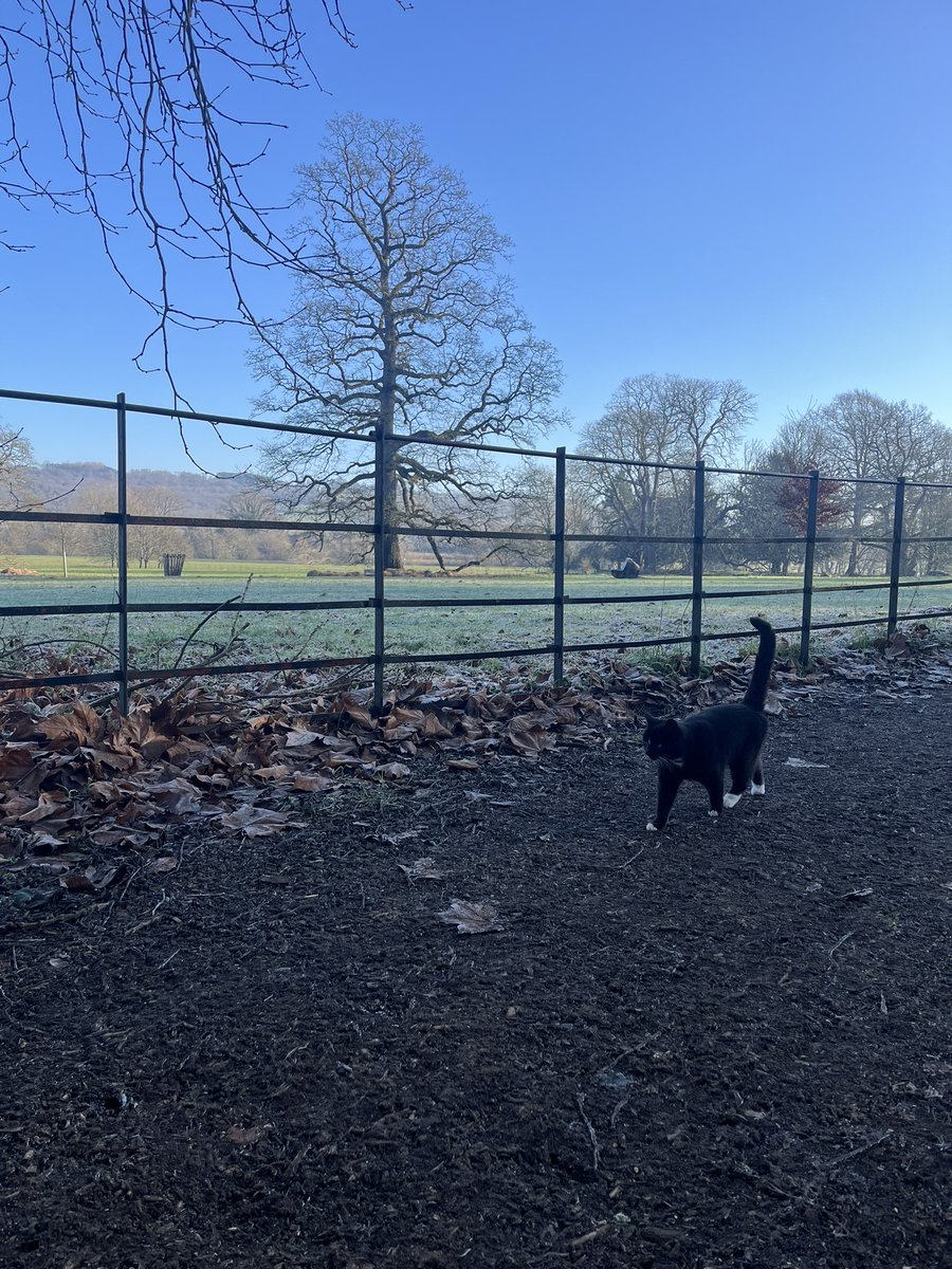 Madeleine Emerald 🐞 tweet media