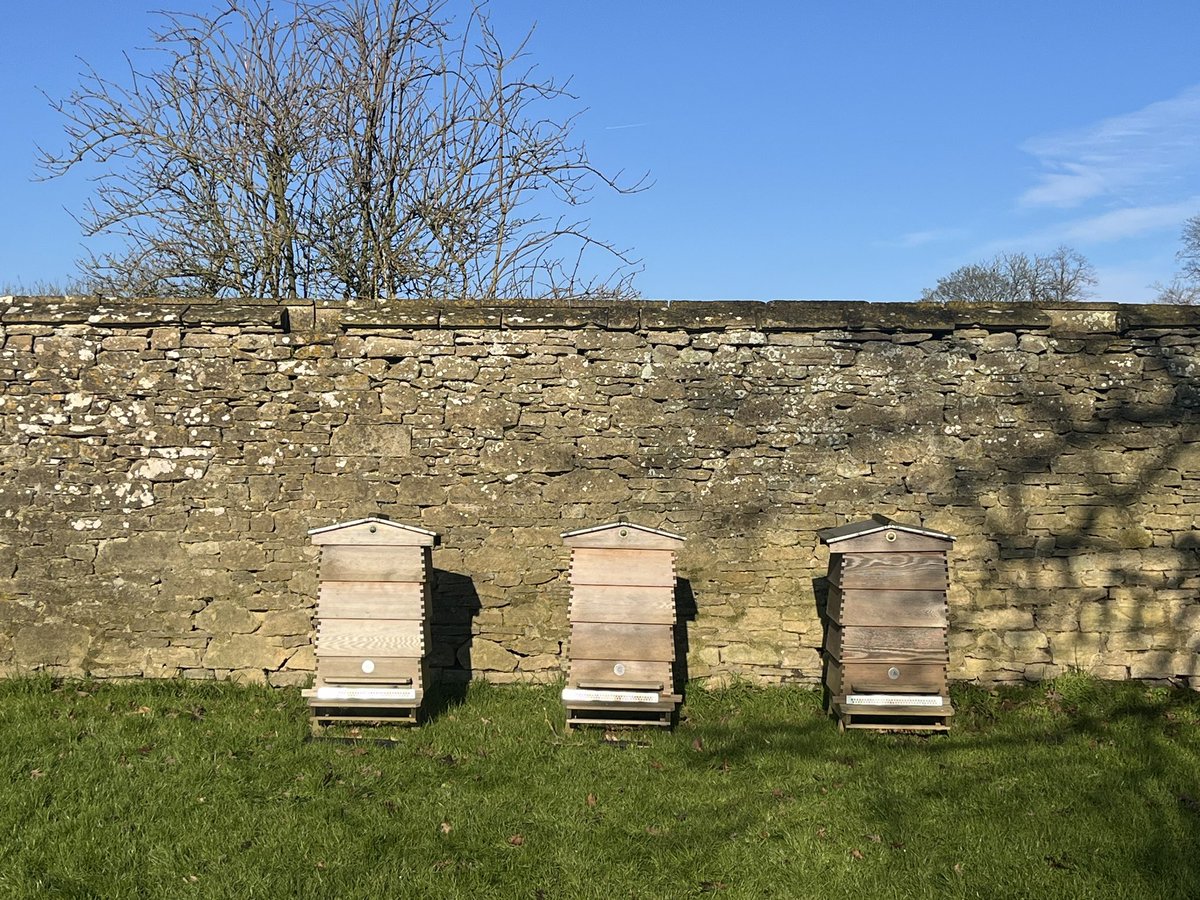 Madeleine Emerald 🐞 tweet media