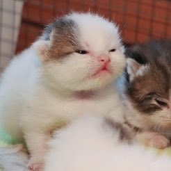 pa_ued's tweet photo. ไม่คิดว่าโตมาแล้วจะตรงปกขนาดนี้ https://t.co/Fdz6oq85Vx