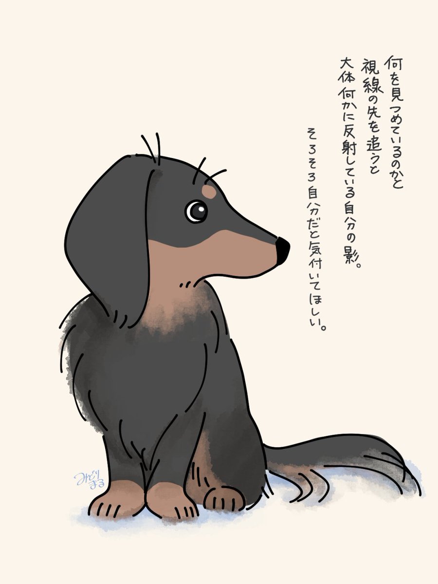 もう1歳なんですけどね。 
