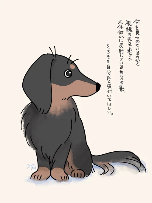 もう1歳なんですけどね。 