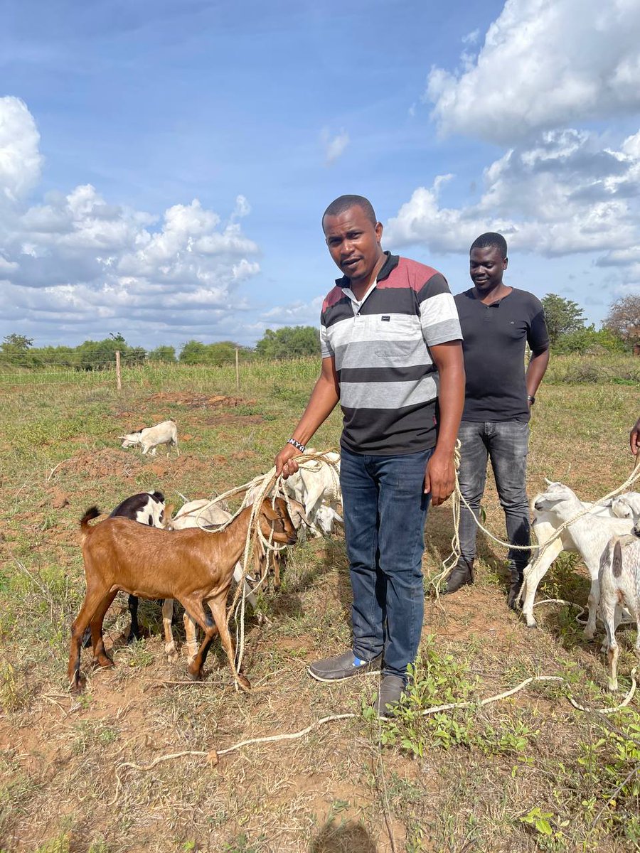 MutuikeBenson's tweet photo. Our customers have started adding value to their properties in Matuu by doing goat farming. Join them by owning your piece. 50*100 is selling @Kes 180K, 100*100 Selling @Kes 350K. Call us on: 0707333888 pale @greatfortunes23
Kairo
#MasculinitySaturday 
Farah Maalim
Chiesa
Sophia https://t.co/twAP0RFsbO