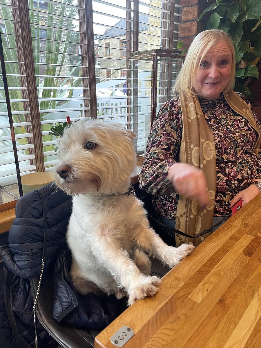 BusbyWatson's tweet photo. Pub day! I even got me own seat for a second before I was told to get down!😂😂😂😂 #LittleLock #Marsden #Bobbyontour https://t.co/OuxDQeitvO