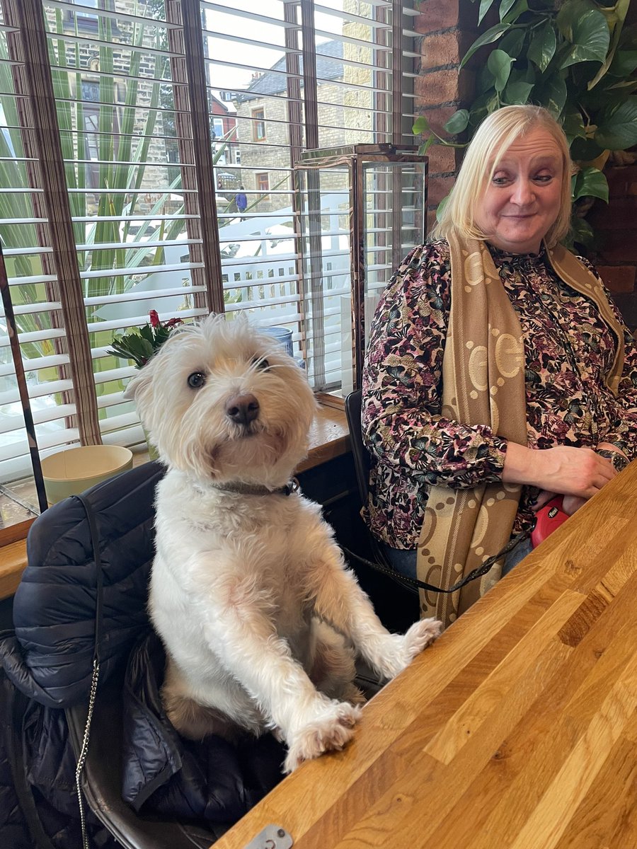 BusbyWatson's tweet photo. Pub day! I even got me own seat for a second before I was told to get down!😂😂😂😂 #LittleLock #Marsden #Bobbyontour https://t.co/OuxDQeitvO