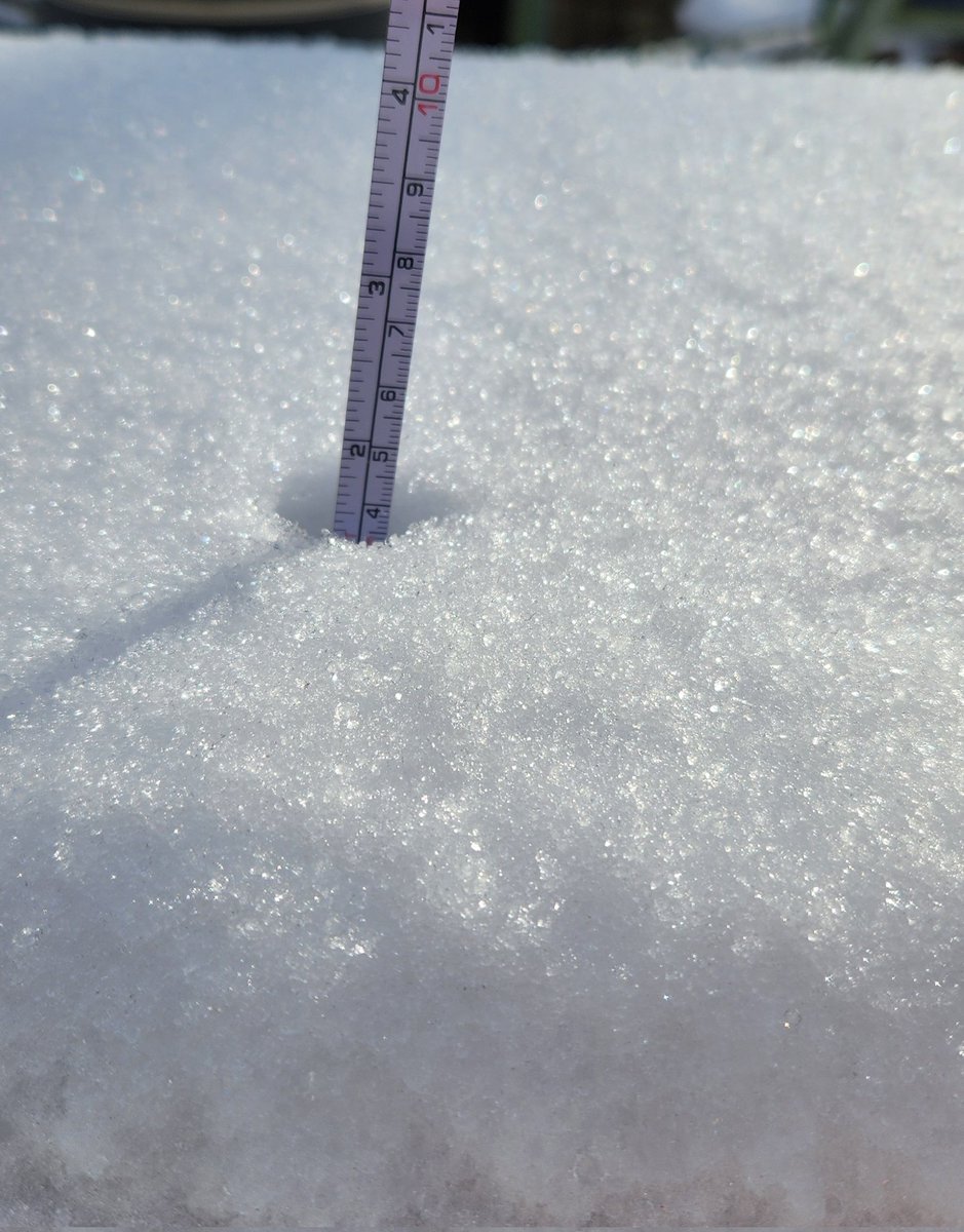 About 1.75 inches here in Advance