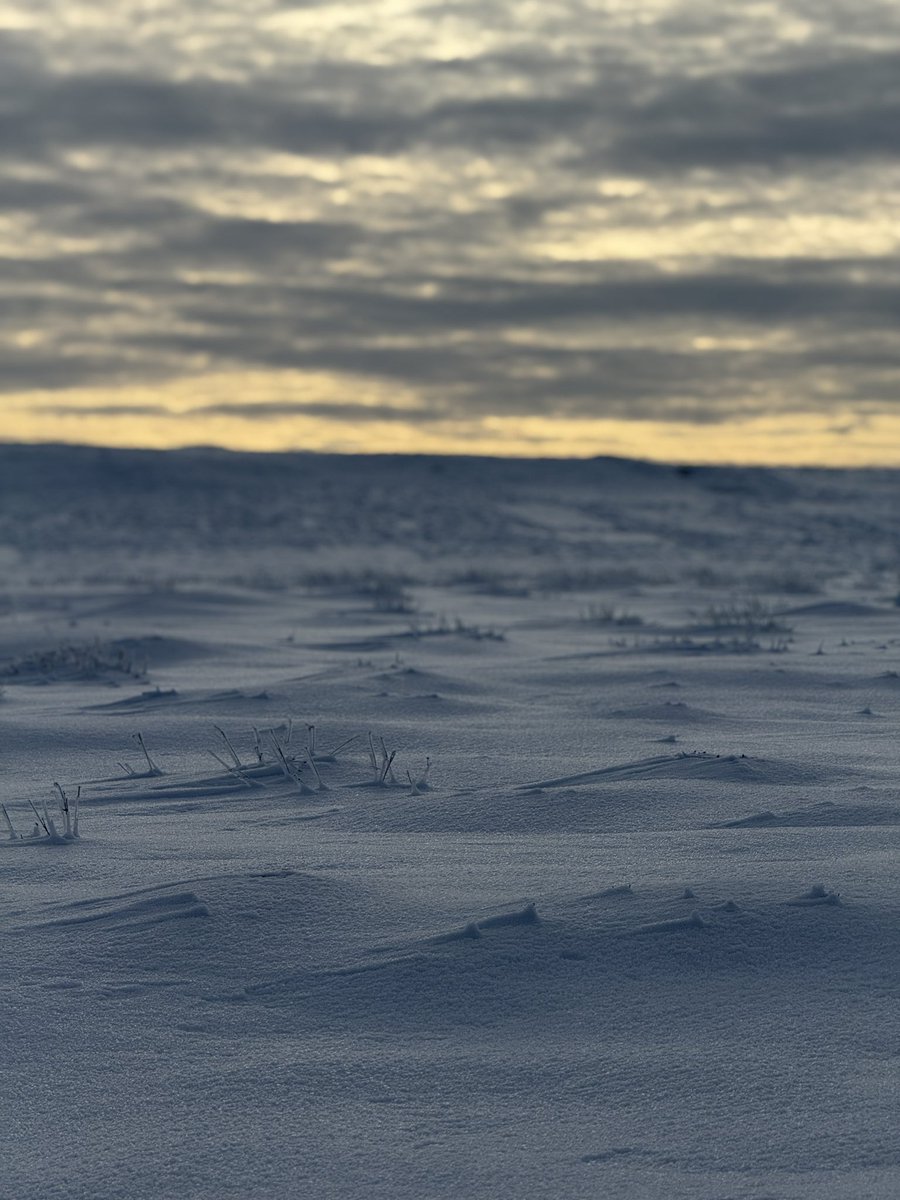 A stunning afternoon on the moor. So wonderful to leave the car at home and enjoy the snow on foot. #Yorkshire🤍
