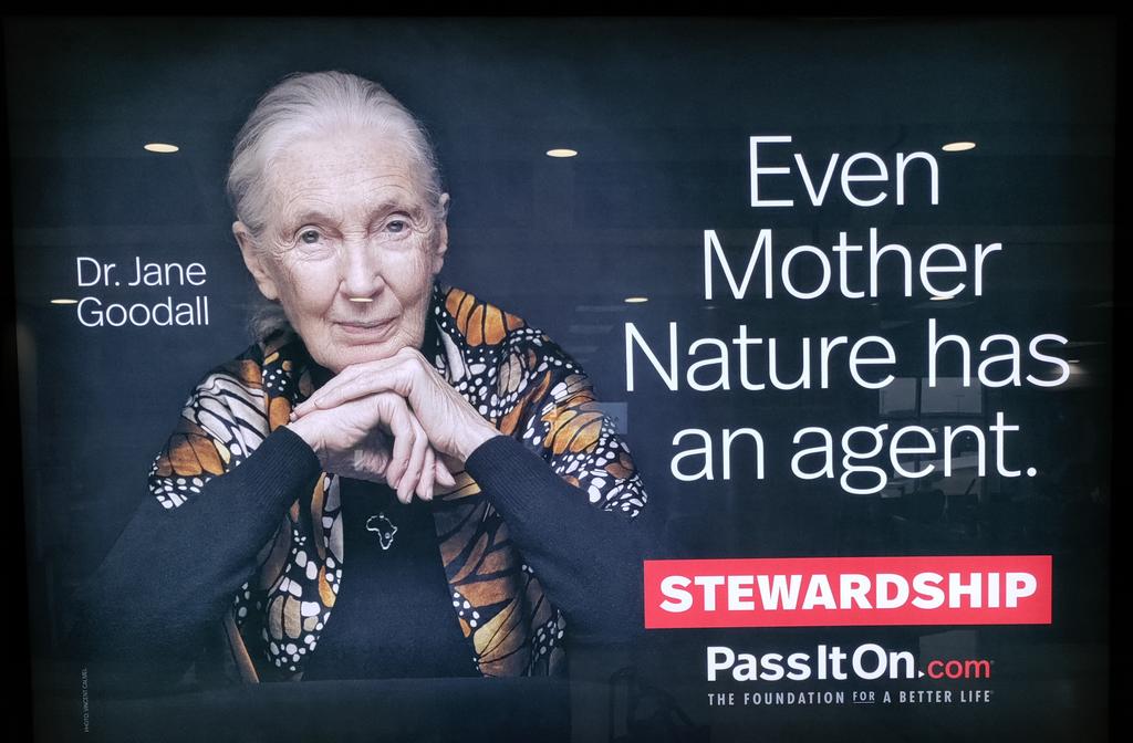 Channing Dutton tweet media