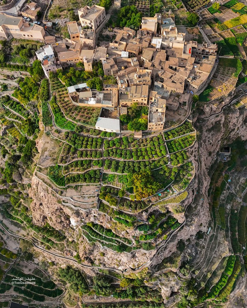 WI_OM_TOURISM's tweet photo. #سلطنة_عُمان رابعاً على مستوى العالم في مؤشر جودة الحياة بنهاية العام 2024
1. لوكسمبورغ 🇱🇺
2. هولندا 🇳🇱
3. الدنمارك 🇩🇰
4. سلطنة #عُمان 🇴🇲
5. سويسرا 🇨🇭
المصدر: Business insider
🔖 يقيس المؤشر ، عدة معايير منها: 
💱 تكلفة المعيشة والقوة الشرائية.. 🏘️ تكاليف السكن.. 🚞 التلوث.. 🕵️ الجريمة.. 🩺 جودة النظام الصحي..🚦حركة المرور..
#نهضة_عُمان_المتجدّدة