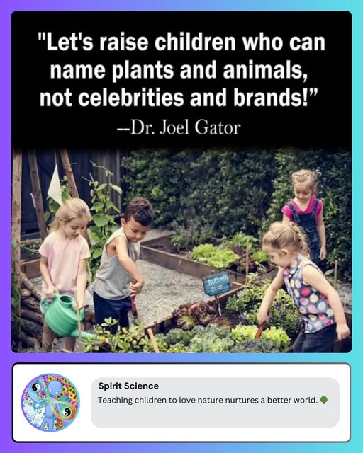 EllieCG11's tweet image. 