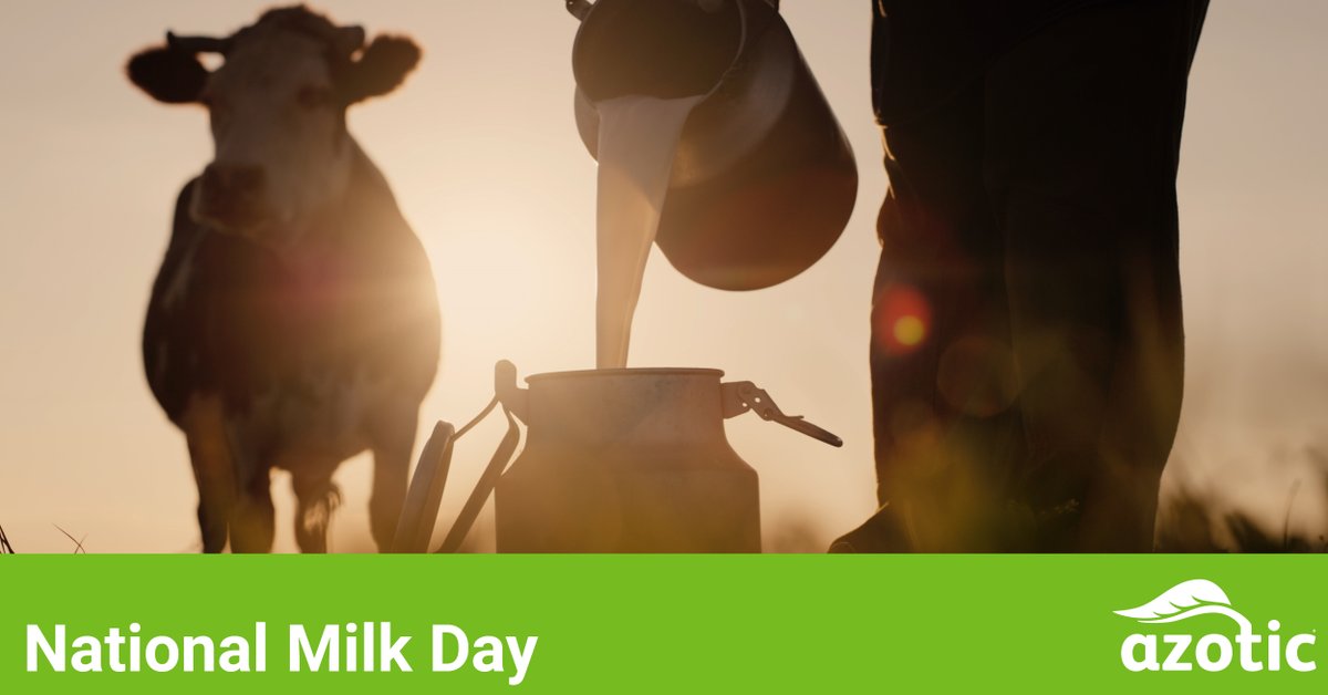 Salute our dairy farmers on National Milk Day! For most forage crops, Envita® can add both higher yield and better quality. Contact us to learn how we can enhance your milk production!
#azotic #envita #agriculture #nationalmilkday #dairyfarmers #dairyfarming