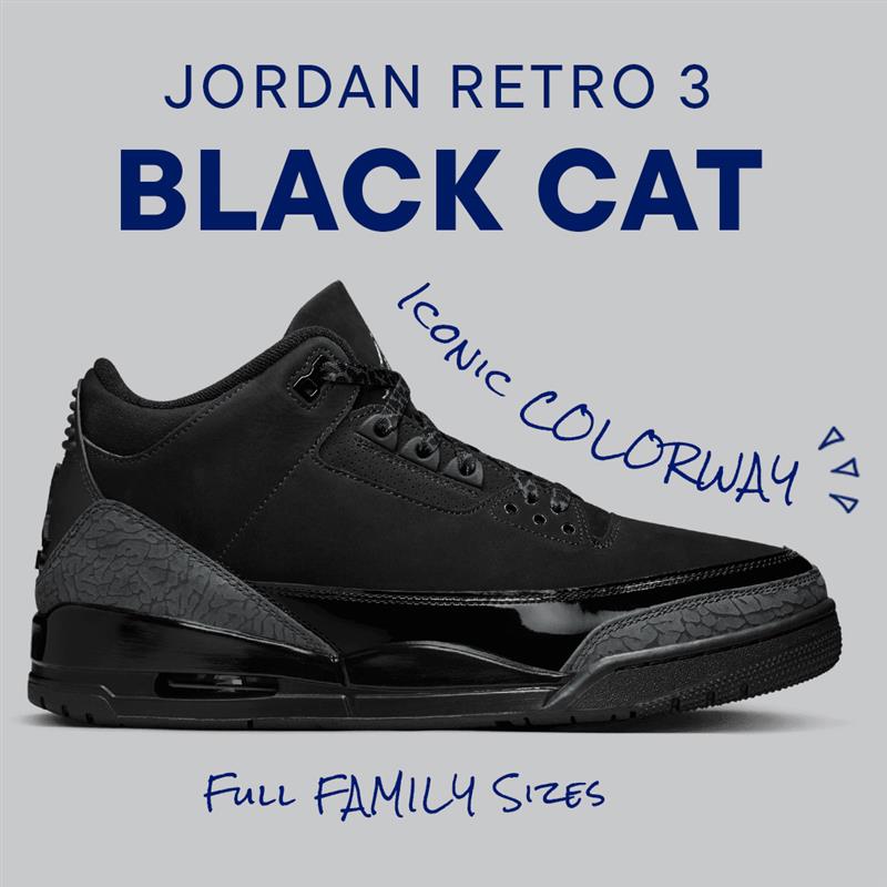 champs sports jordan 3