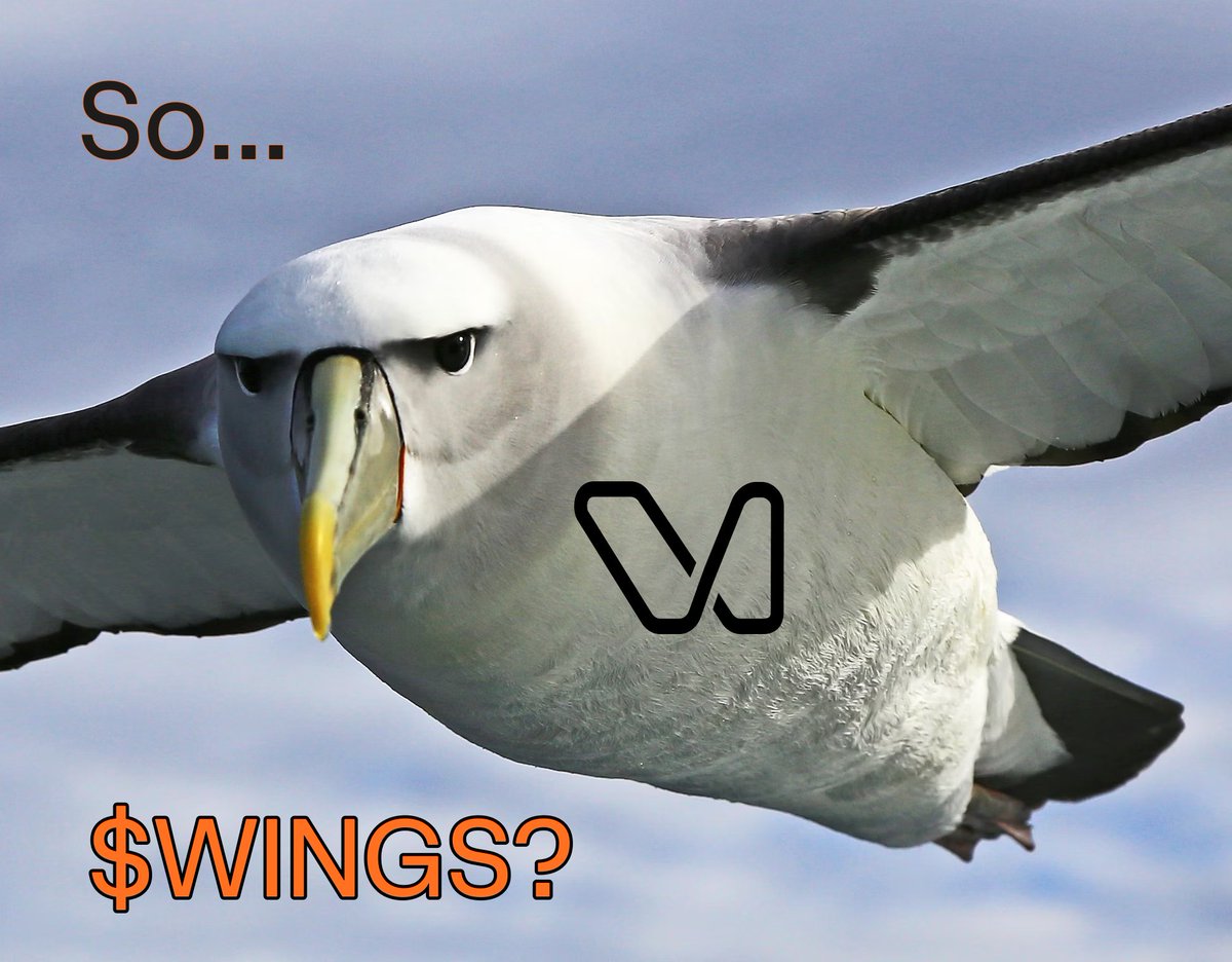 We were just wondering… 

If you’ve heard the word