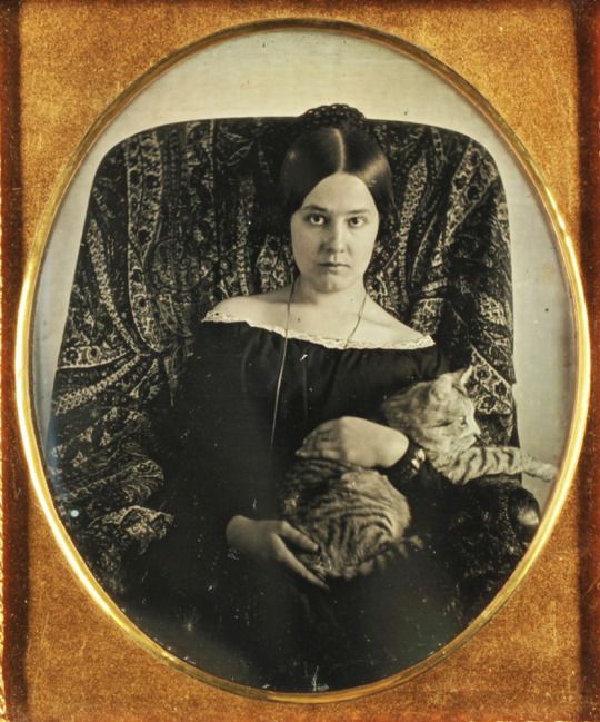 wikivictorian's tweet photo. 📷🐶✨ Daguerrotypes/Ambrotypes of people with their pets: A THREAD ✨🐶📷 https://t.co/Xn8tT4yXxu