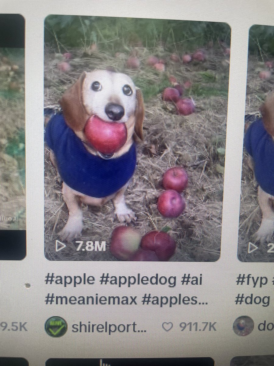 PatrickJ 🏴▶️ tweet media