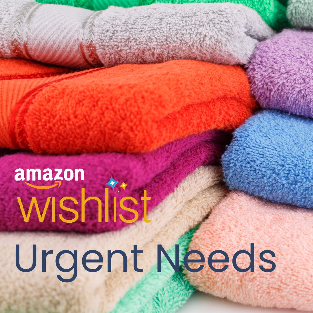 Our residents at Landmarks for Families need essential items like bath towels, pillows, washcloths, and kitchen towels. You can help by donating items directly or purchasing them from our Amazon Wishlist at loom.ly/Z9n1rCM  or making a donation at loom.ly/UpJkfd0.