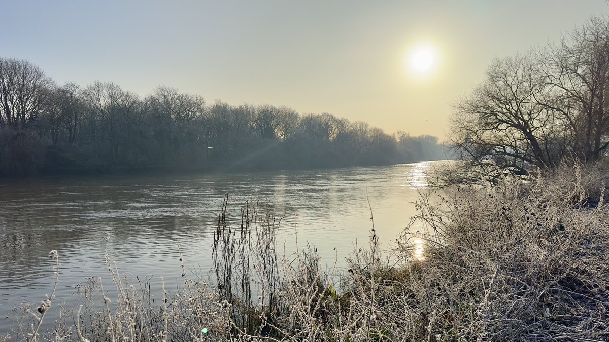 Morgan Calton tweet media