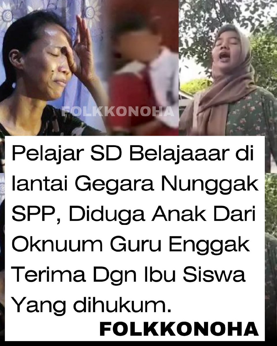 zera 🍄 tweet media