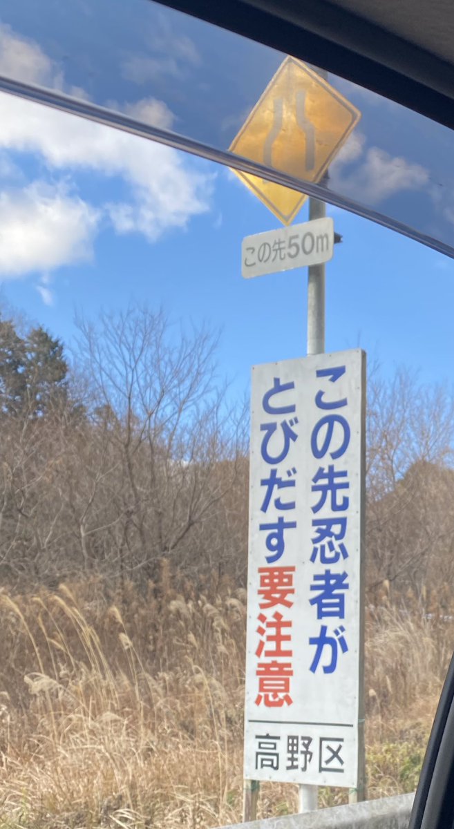 甲賀とんでもない