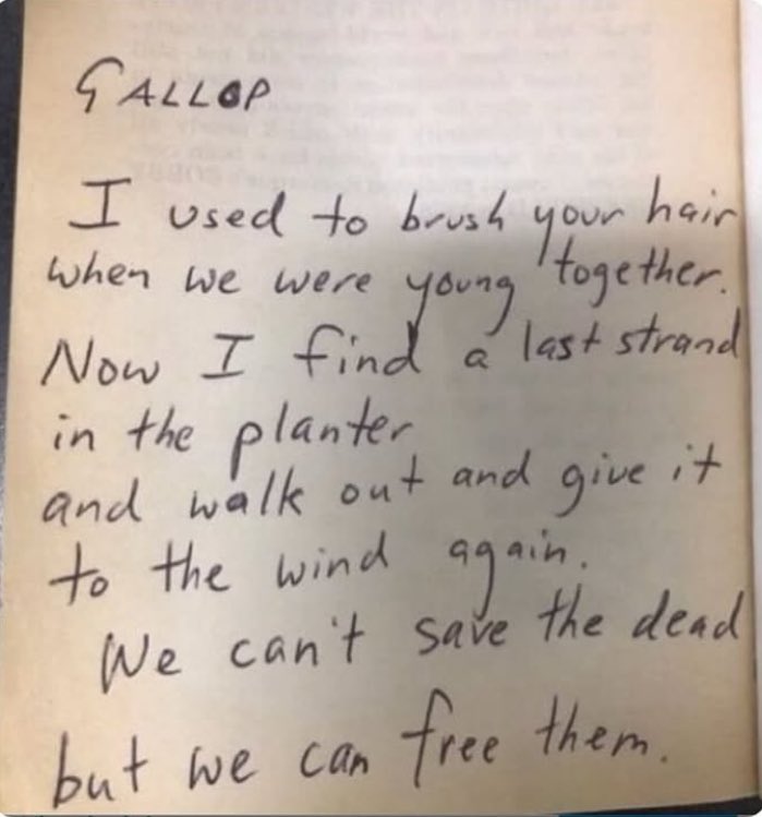 Every time I go through hard days, my mother sends me this poem I wrote when I was 15 and my horse died.